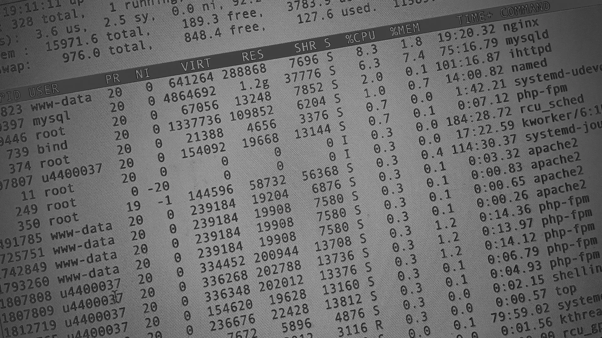 Настройка сервера в Инсаре