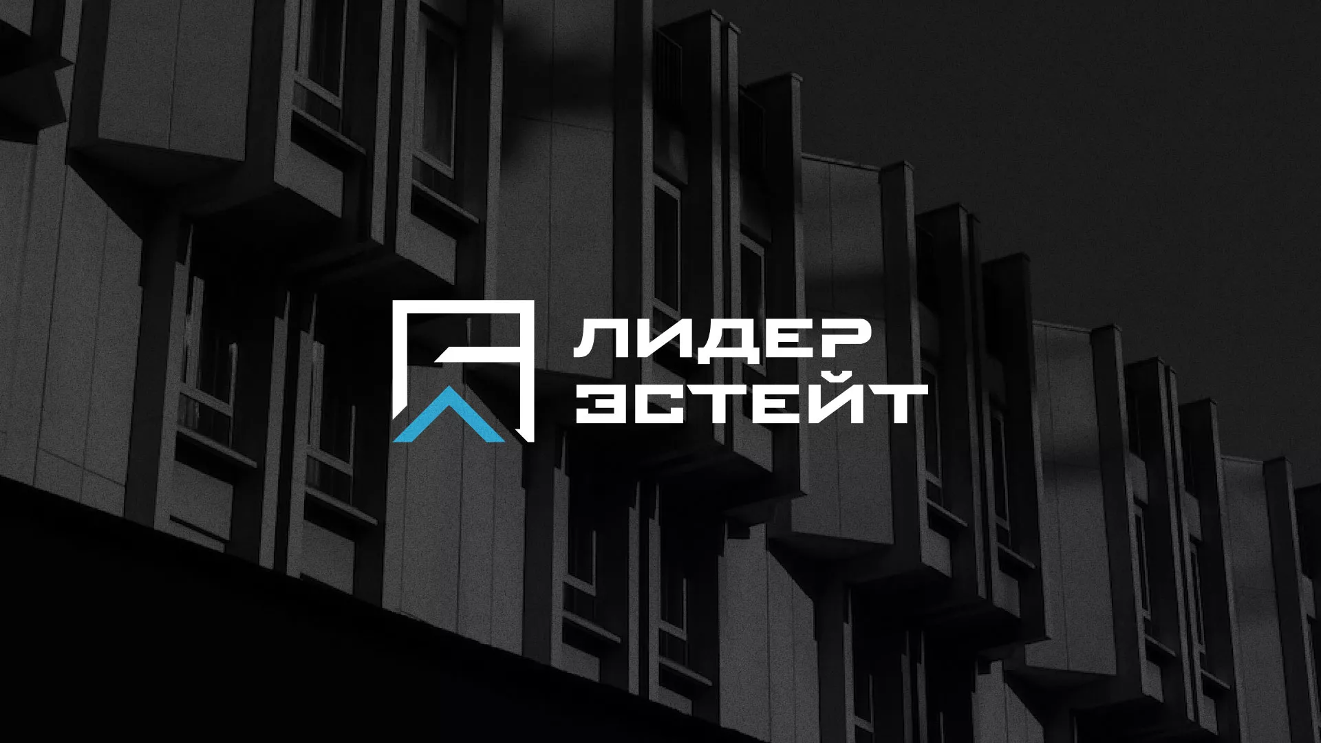 Разработка логотипа агентства недвижимости «Лидер Эстейт» в Инсаре